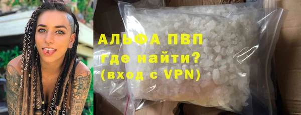 прущие грибы Дмитровск