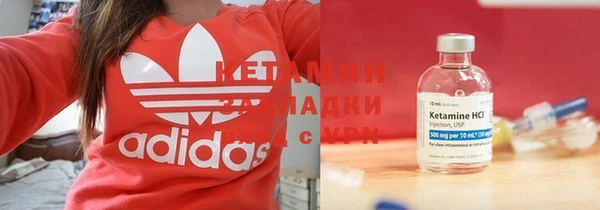 прущие грибы Дмитровск