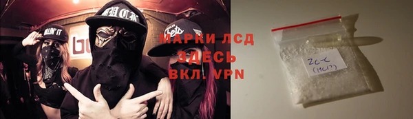прущие грибы Дмитровск
