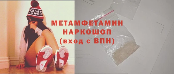 прущие грибы Дмитровск