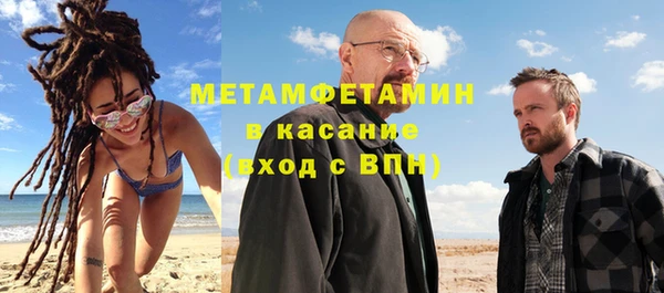 прущие грибы Дмитровск