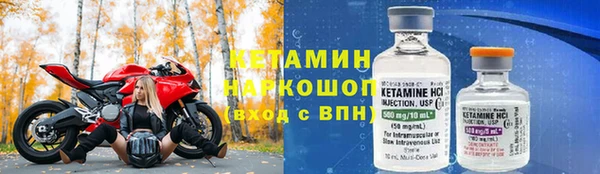 прущие грибы Дмитровск