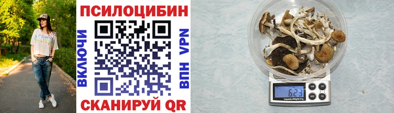 Галлюциногенные грибы MAGIC MUSHROOMS Сургут